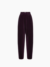 Load image into Gallery viewer, Large Velvet Pants