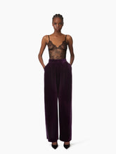 Load image into Gallery viewer, Large Velvet Pants