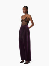 Load image into Gallery viewer, Large Velvet Pants