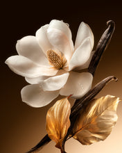 Load image into Gallery viewer, VÉNUS DE NINA RICCI