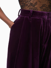 Charger l'image dans la galerie, Large Velvet Pants
